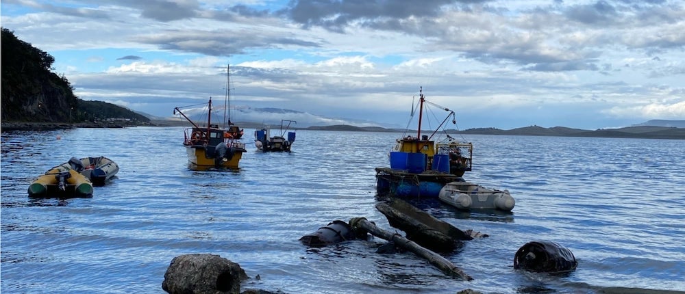 Puerto Almanza: La ruta de la Centolla y Cascadas